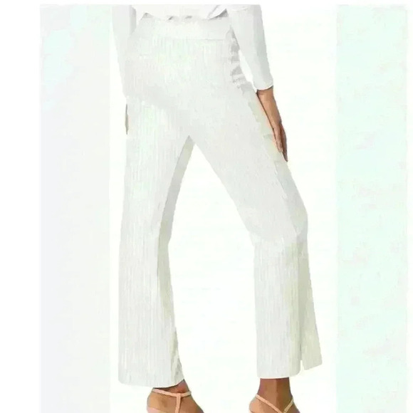 Krazy Larry Women's Stretch Linen Wide Ankle, Oatmeal striped size 2 - Picture 2 of 10